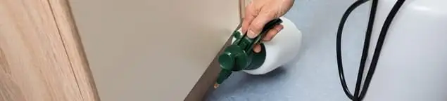Bed bug exterminator treating baseboards and cracks with targeted spray in Birmingham, AL