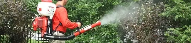 Mosquito control technician fogging shrubs and landscaping for mosquito treatment in Birmingham, AL