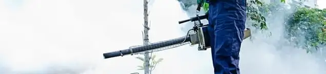 Pest control technician fogging an outdoor area for insect control in Birmingham, AL