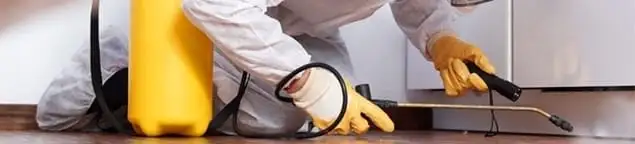 Roach exterminator treating cracks and crevices along kitchen baseboards in Birmingham, AL