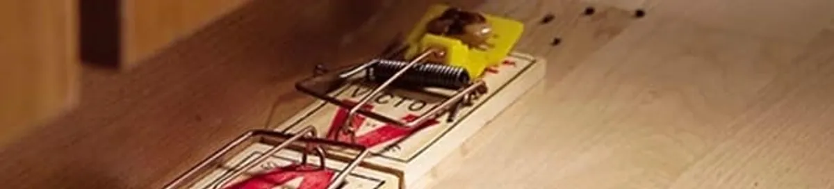 Rodent trap set indoors for rodent control and prevention in Birmingham, AL