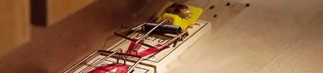 Rodent trap set indoors for rodent control and prevention in Birmingham, AL